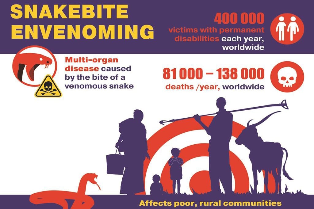Lymphatic-filariasis-infographic-landscape