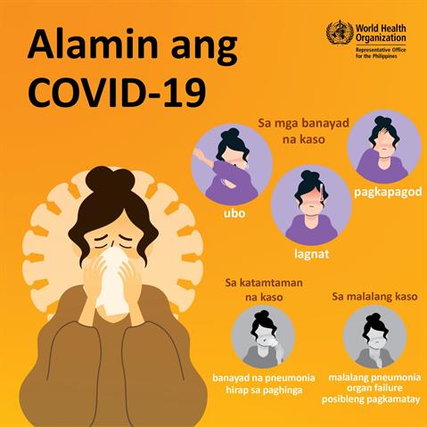 Infographic visualising the recommended advice.